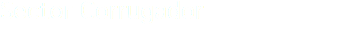 Sector Corrugador